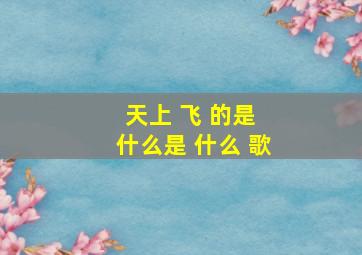 天上 飞 的是 什么是 什么 歌